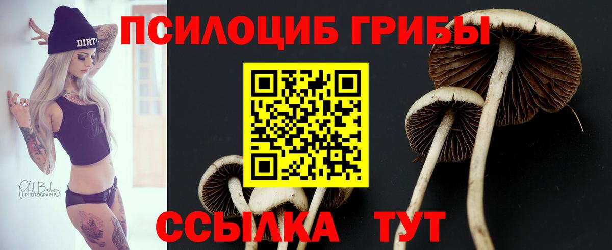 Аксай  Галлюциногенные грибы Psilocybine cubensis  купить наркоту  Вход с VPN 